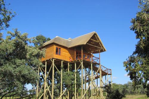 Pezulu Tree House (10)